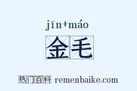 金毛是什么意思的图片